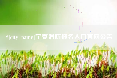 固原宁夏消防报名入口官网公告