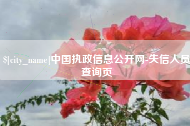 固原中国执政信息公开网-失信人员查询页