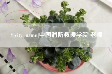 固原中国消防救援学院 老师