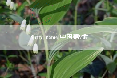 固原中国第9金