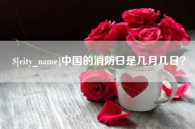 固原中国的消防日是几月几日？