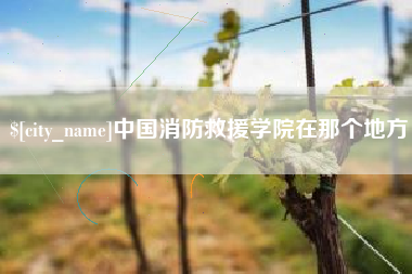 固原中国消防救援学院在那个地方