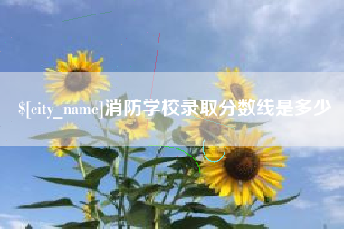 固原消防学校录取分数线是多少
