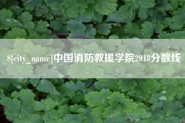 固原中国消防救援学院2018分数线