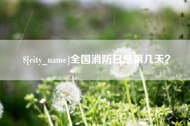 固原全国消防日是第几天？