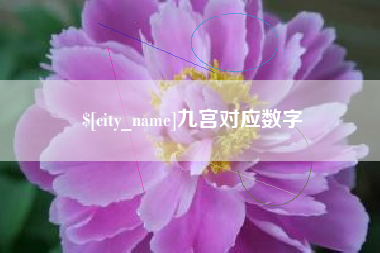 固原九宫对应数字