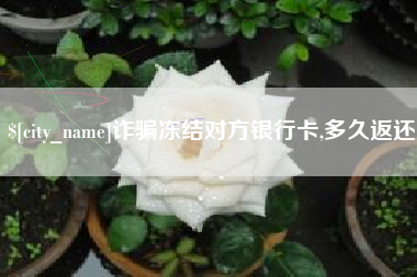 固原诈骗冻结对方银行卡,多久返还