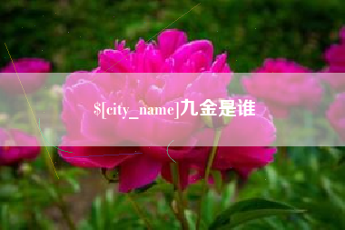 固原九金是谁