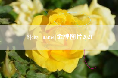 固原金牌图片2021