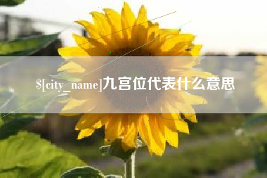 固原九宫位代表什么意思
