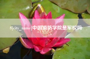 固原中国消防学院是军校吗