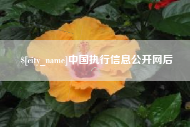 固原中国执行信息公开网后