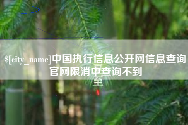 固原中国执行信息公开网信息查询官网限消中查询不到