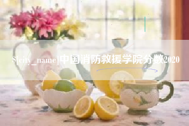 固原中国消防救援学院分数2020
