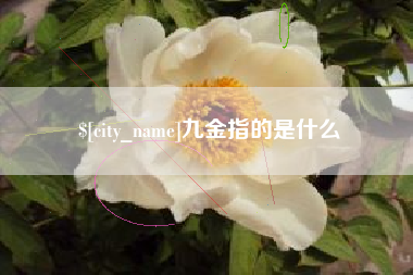 固原九金指的是什么