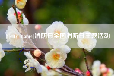 固原消防日全国消防日主题活动
