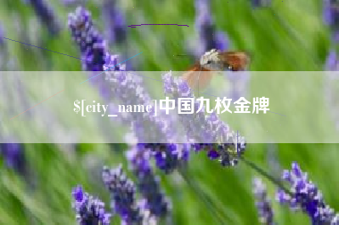固原中国九枚金牌