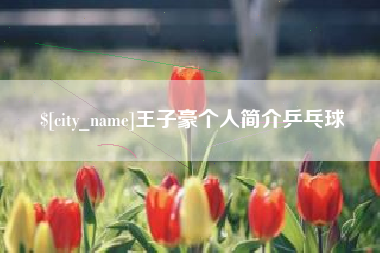 固原王子豪个人简介乒乓球