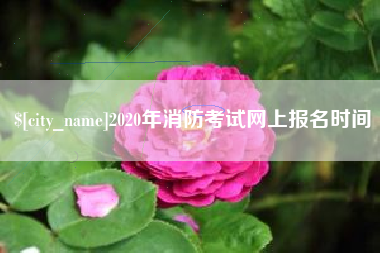 固原2020年消防考试网上报名时间