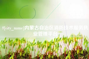 固原内蒙古自治区消防技术服务执业管理平台