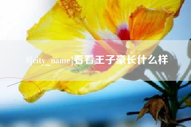 固原看看王子豪长什么样