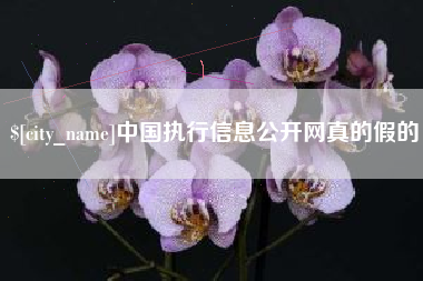 固原中国执行信息公开网真的假的