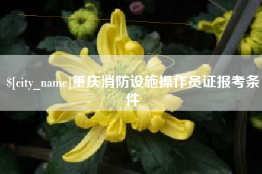 固原重庆消防设施操作员证报考条件
