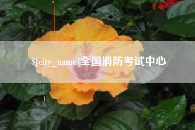 固原全国消防考试中心