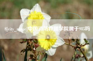 固原中国消防救援学院属于985吗