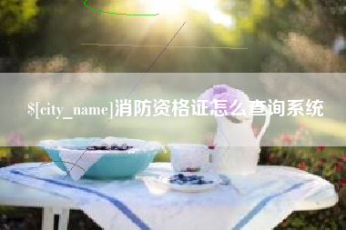 固原消防资格证怎么查询系统