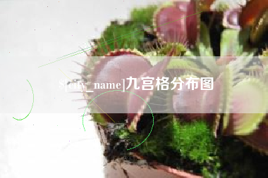 固原九宫格分布图