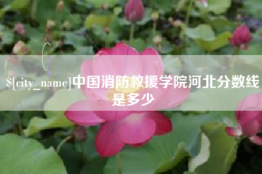固原中国消防救援学院河北分数线是多少