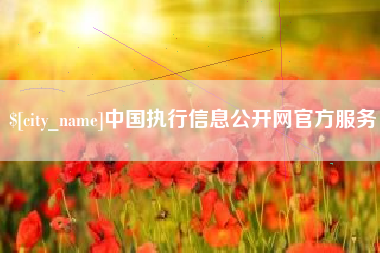 固原中国执行信息公开网官方服务