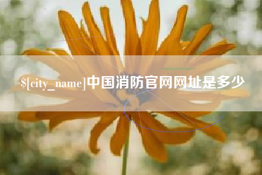 固原中国消防官网网址是多少