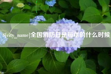 固原全国消防日是每年的什么时候