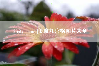 固原美食九宫格图片大全
