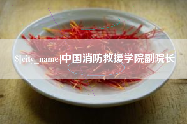 固原中国消防救援学院副院长