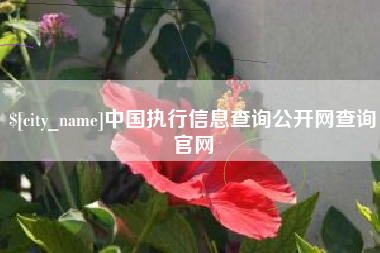 固原中国执行信息查询公开网查询官网