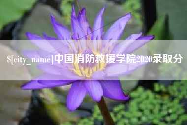 固原中国消防救援学院2020录取分