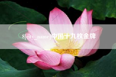固原中国十九枚金牌
