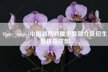 固原中国消防救援学院简介及招生章程指挥部