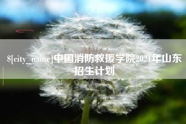 固原中国消防救援学院2021年山东招生计划