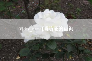 固原消防证的查询