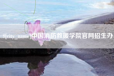 固原中国消防救援学院官网招生办