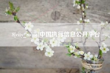 固原中国执行信息公开平台