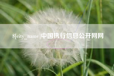 固原中国执行信息公开网网