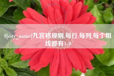 固原九宫格规则,每行,每列,每个粗线都有1-9