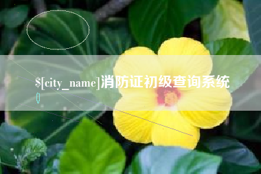 固原消防证初级查询系统