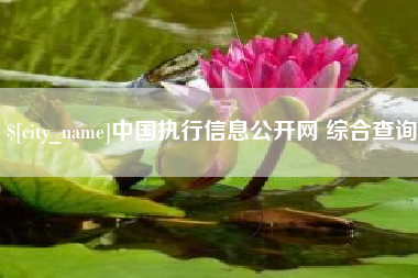 固原中国执行信息公开网 综合查询