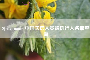 固原中国失信人员被执行人名单查询